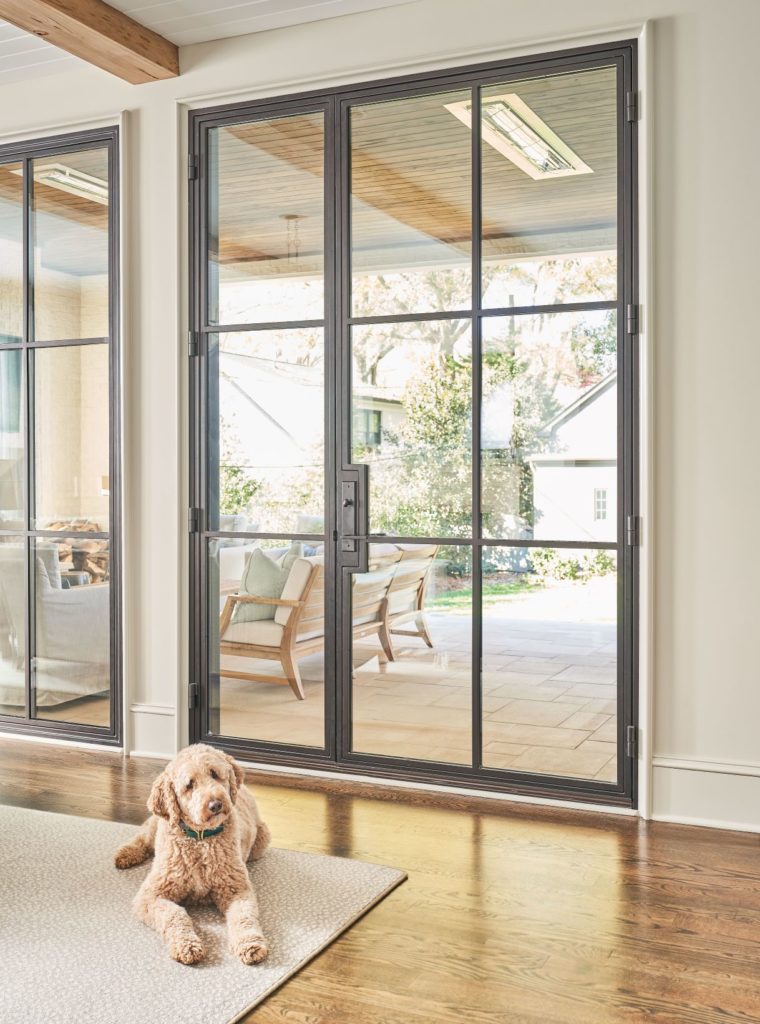Patio doors with dog sitting on a rug.