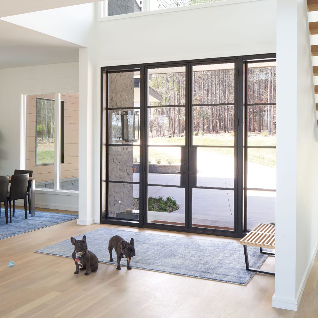 Modern door from the inside with two black dogs.